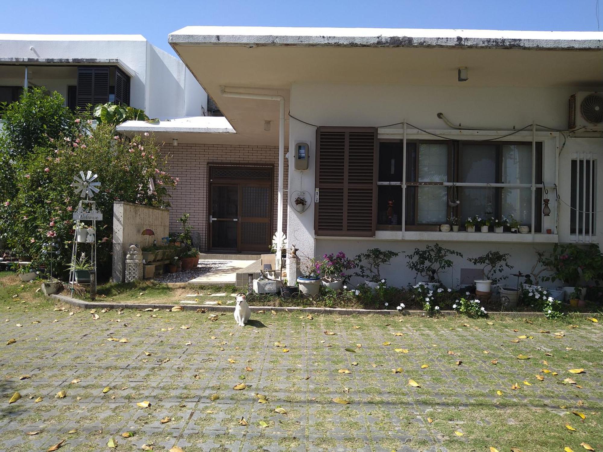 Minshuku Zabaru Hostel Ishigaki  Luaran gambar
